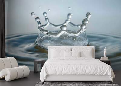 water liquid splash isolated on white background. Wall mural