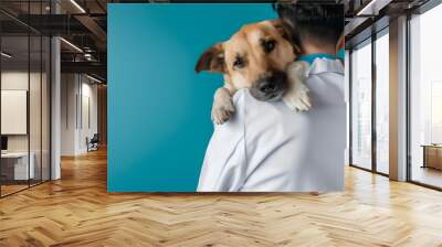 Small dog being held by a man in a white shirt. Studio pet portrait on a blue background. Animal care and veterinary concept Wall mural