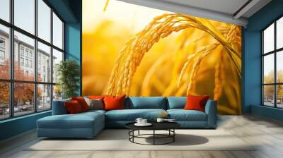 Golden Rice Field At Sunset Wall mural