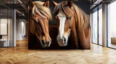 Portrait two horse Wall mural