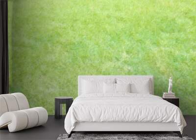 Grass background. Lawn texture illustration Wall mural