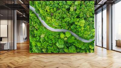 Aerial view of road in the middle of the forest , Top view road curve construction up to mountain, Rainforest ecosystem and healthy environment concept	 Wall mural