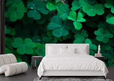 Clover Leaves for Green background with three-leaved shamrocks. st patrick's day background, holiday symbol, Earth Day	 Wall mural