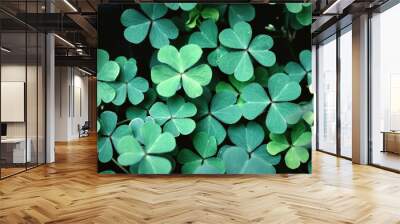 Spring background frame, shamrock , Clover Leaves for Green background with three-leaved shamrocks. st patrick's day background, holiday symbol,Spring concept. Wall mural