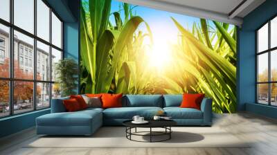 Corn Field with Sun Shine Wall mural