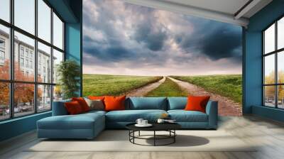 Spring Field with Green Grass Perspective Road - Two Paths on Foreground and Dramatic Sky on Background Wall mural