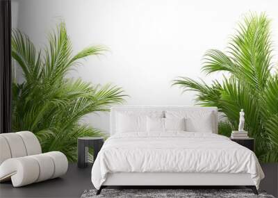 green grass isolated on white Wall mural