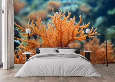 Orange soft coral Subergorgia sp or Subergorgonia, marine life, close up underwater backgrou. Generative AI. Wall mural