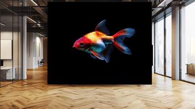 Goldfish isolated on black background  Wall mural