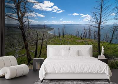 Lake Butte Overview and Wild Fire Damage, Yellowstone National Park Wall mural