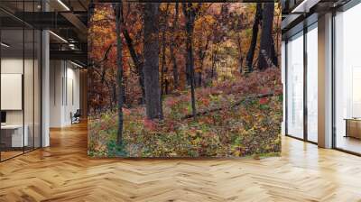 688-18 Stone Barn Savanna Autumn Forest Wall mural