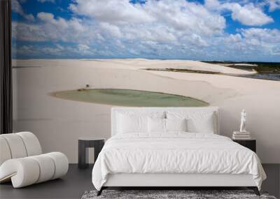 sand dunes on the beach Wall mural