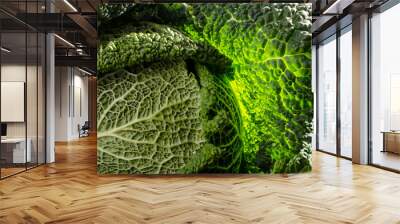 Ripe Fresh Green Savoy cabbage isolated on white. Wall mural