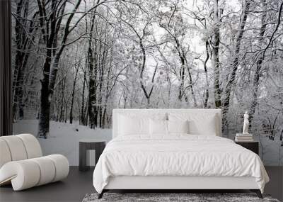 Winter forest. Snow covered trees in the forest. Wall mural