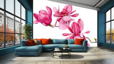 branch of pink magnolia on an isolated white background, watercolor flowers Wall mural