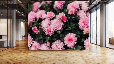 Beautiful flowers of a plant Wall mural