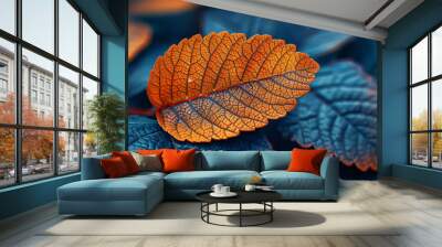 Close-up of weathered autumn leaves Wall mural