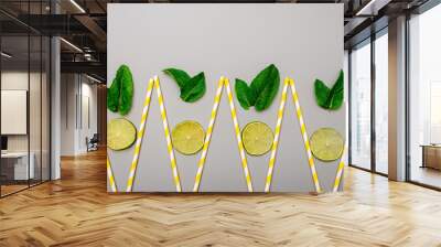 concept of summer refreshing drinks in minimalism style from cocktail tubes and lime with mint on gray background Wall mural