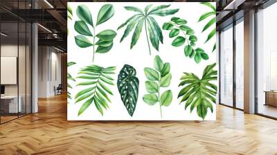 Green palm leaves on isolated white background botanical illustration, tropical flora hand drawing. Set watercolor plant Wall mural