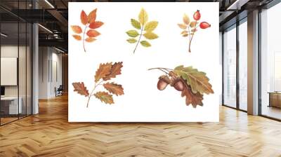 Hand painted watercolor illustration. Set beautiful red and yellow autumn leaves and berries. Wall mural