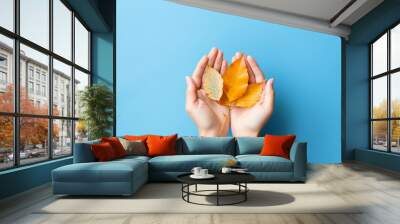  Female hands holding autumn leaves on a pastel blue background Wall mural