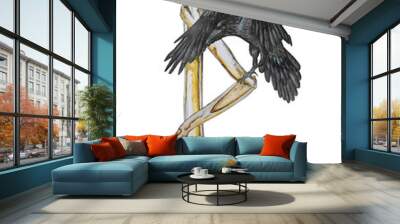 Illustration with rune Wunjo and raven. Wall mural