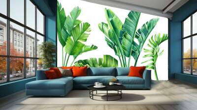 jungle design, set of strelitzia green  leaves on an isolated white background, watercolor tropical plants, botanical illustration, africa Wall mural