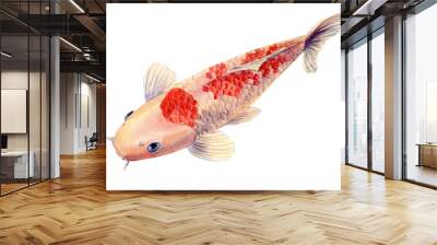 koi, carp fish on an isolated white background, watercolor painting, hand drawing Wall mural