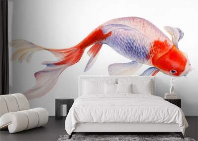 koi, carp fish on an isolated white background, watercolor painting Wall mural