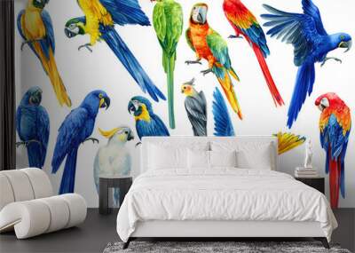 large set of hand-drawn watercolor tropical birds, parrots on an isolated transparent background, watercolor illustration Wall mural