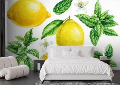 lemon and mint leaves, fruits and peppermint on isolated white background, botanical illustration watercolor painting Wall mural