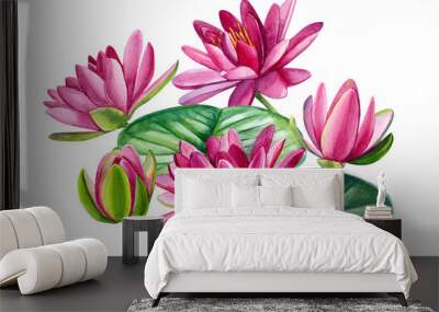 pink lotus, beautiful watercolor flowers on white background, hand drawing Wall mural