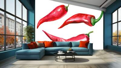 red chili pepper on isolated white background, watercolor illustration Wall mural