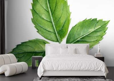 Rose leaf on a white background, watercolor green element Wall mural