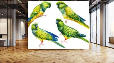 Set green tropical parrots drawing in watercolor, tropical birds, exotic wildlife Wall mural