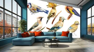 set of birds on isolated white background, goldfinches, hoopoe, waxwings, watercolor illustration Wall mural