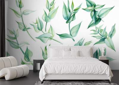 Set of eucalyptus leaves on an isolated white background, watercolor painting illustration, elegant leaf for design card Wall mural