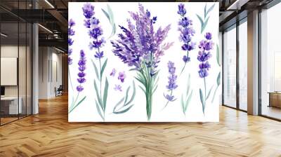 set of lavender flowers, bouquet of lavender flowers on an isolated white background, watercolor illustration, hand drawing Wall mural