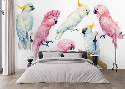 set of parrots, white and pink cockatoo on an isolated white background, watercolor illustration, clipart tropical birds Wall mural