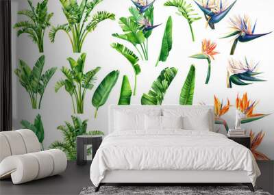 Set of Strelitzia flowers and leaves on an isolated white background, watercolor tropical plants, botanical illustration, greeting card, bird-of-paradise Wall mural