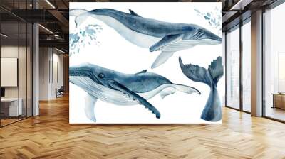 Set os whales on isolated white background, watercolor illustration. Blue whale Wall mural