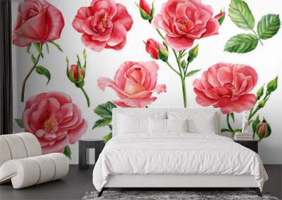 Set roses on isolated white background, watercolor clipart, hand drawing, botanical illustration Wall mural