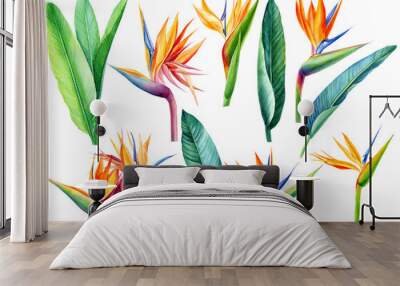 set tropical bright flowers and leaves, paradise flower, strelitzia on white background, watercolor illustration, botanical painting Wall mural