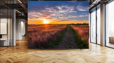 beautiful sunset over the field with coastline footpath, colorful grassland, and cloudy blue sky wit Wall mural