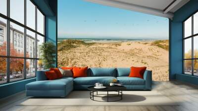 Sand dunes on the beach. California landscape, bright sunny day, clear blue sky background, panoramic view Wall mural