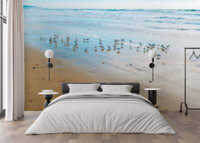 Seascape and silhouette of plover birds on the beach with cloudy sky in the background Wall mural