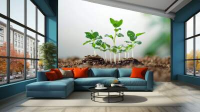 Young shoots of plants, close-up Wall mural