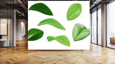 Green leaves set of different projections. 3d vector realistic. Ecology, bio and natural products concept Wall mural