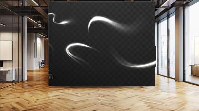 Light white Twirl light. Magic white light glow effect vortex line vector. Flying christmas star trail motion. Wall mural