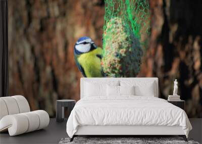 bird Wall mural